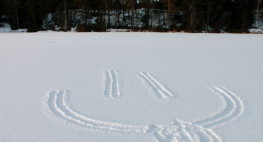 Sneeuwpret groepsreis Zweden